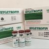 Buy Online Hygetropin 10IU