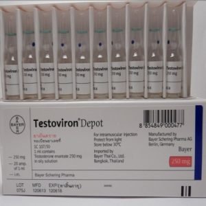 Buy Testosterone Enanthate 20x1ml